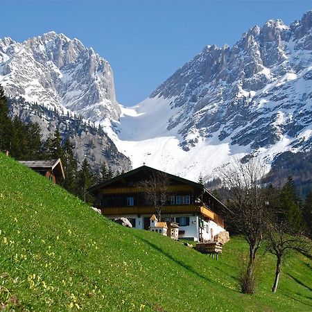 Appartement Albert Und Helene Koller سول المظهر الخارجي الصورة