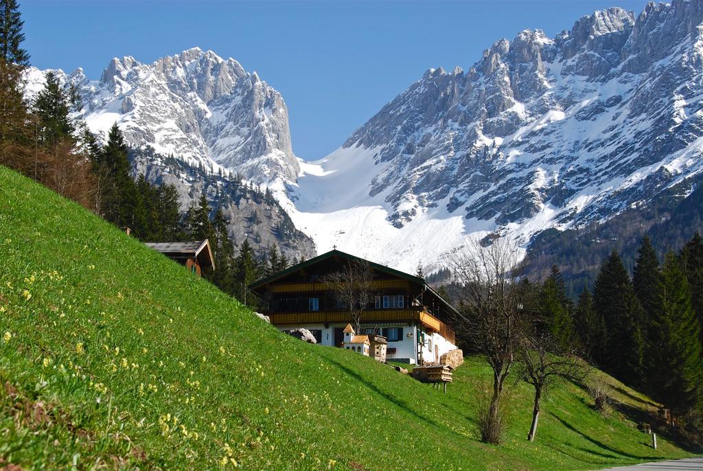 Appartement Albert Und Helene Koller سول المظهر الخارجي الصورة
